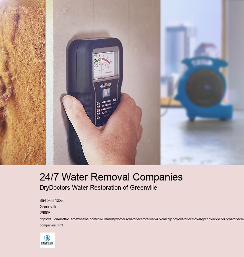 Benefits of Hiring a 24/7 Water Removal Company