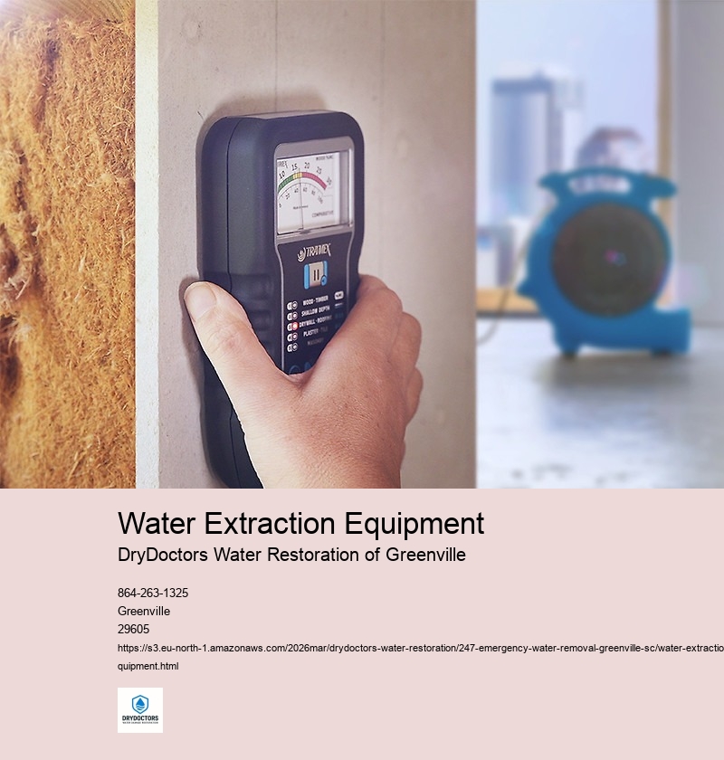 Benefits of Using Professional Water Extraction Equipment