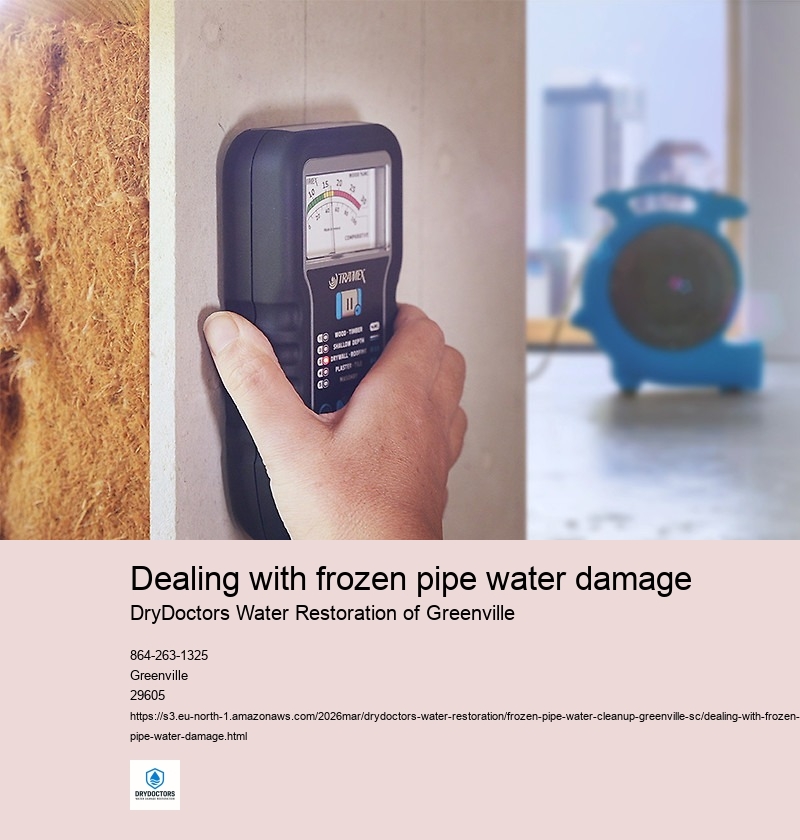 Assessing the extent of the water damage