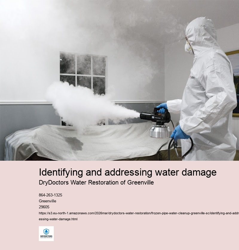 Signs of Water Damage from Frozen Pipes