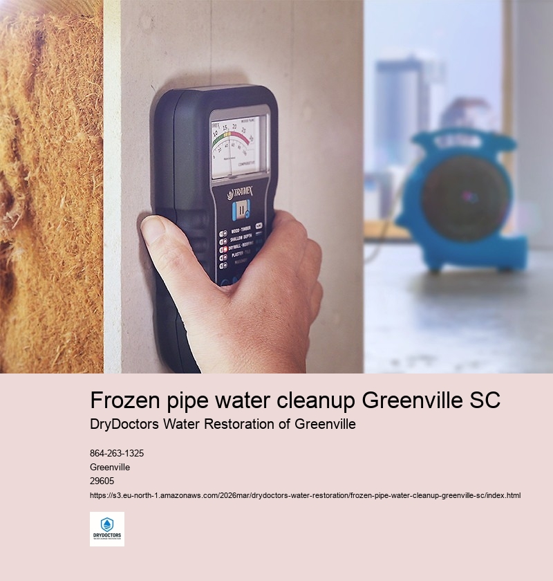 Assessing the Damage