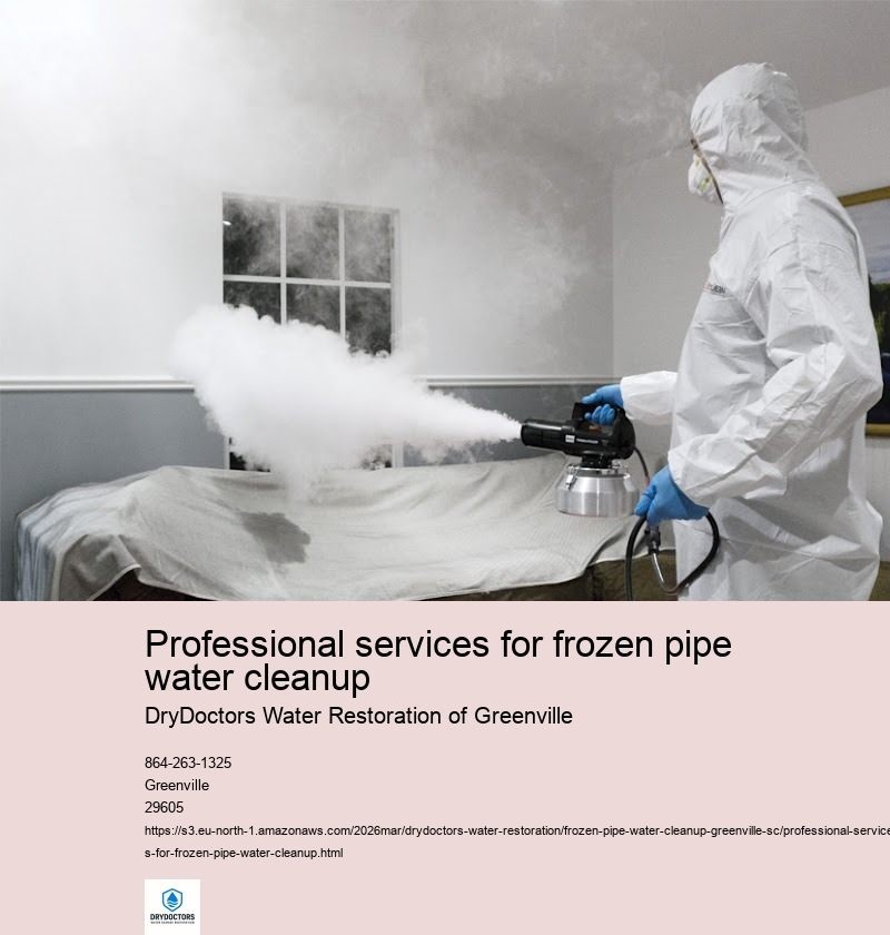 Assessment of damage