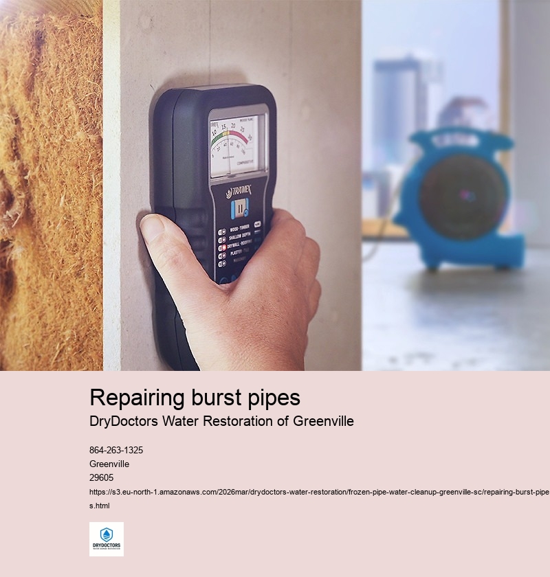 Assessing the damage caused by burst pipes