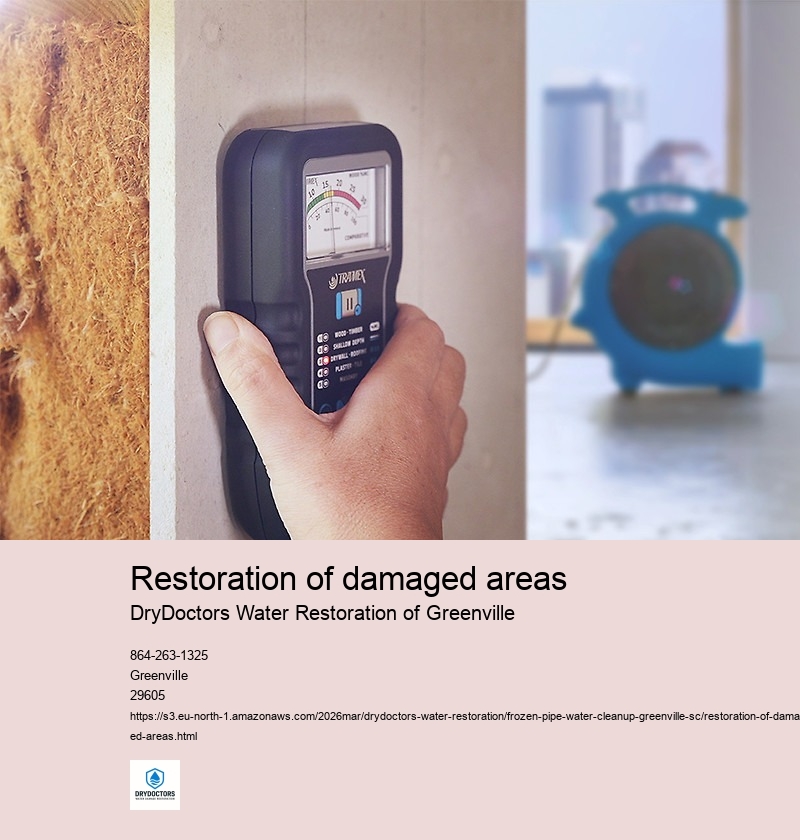 Identification of damage extent