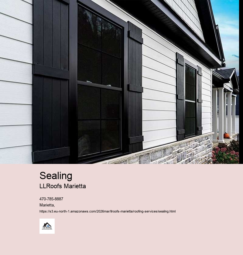 Benefits of Professional Roof Sealing