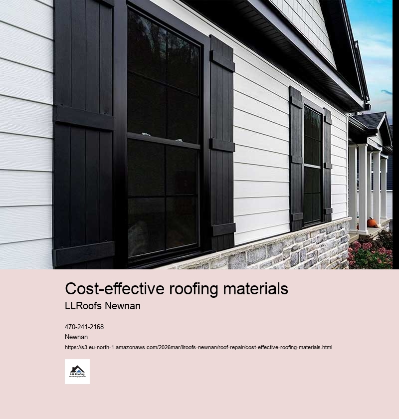 Metal Roofing Options