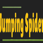 Jumping Spider