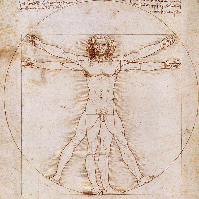 Den vitruvianske mannen – gyllene snittet. Teckning av Leonardo da Vinci.