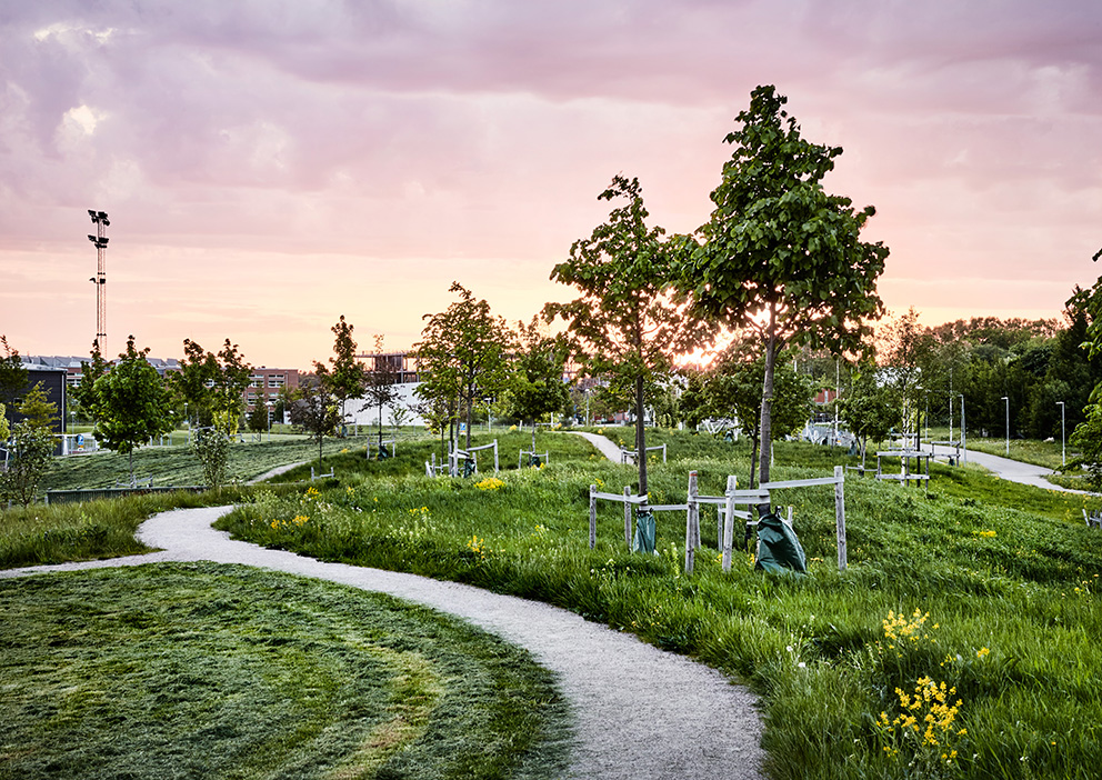 Paradiset. Arkitektkontor: 02landskap. Foto: Måns Berg.