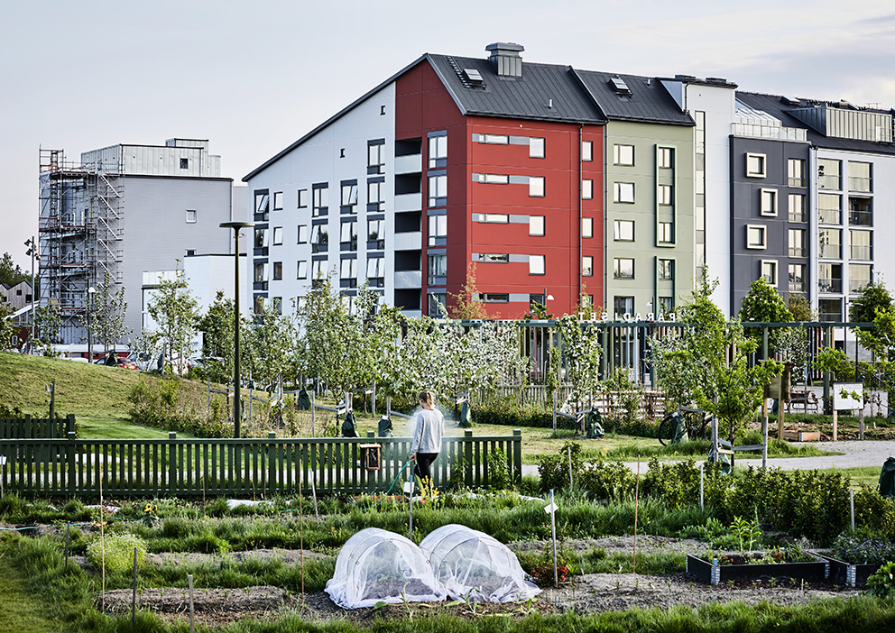 Paradiset. Arkitektkontor: 02landskap. Foto: Måns Berg.