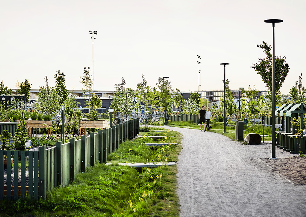 Paradiset. Arkitektkontor: 02landskap. Foto: Måns Berg.