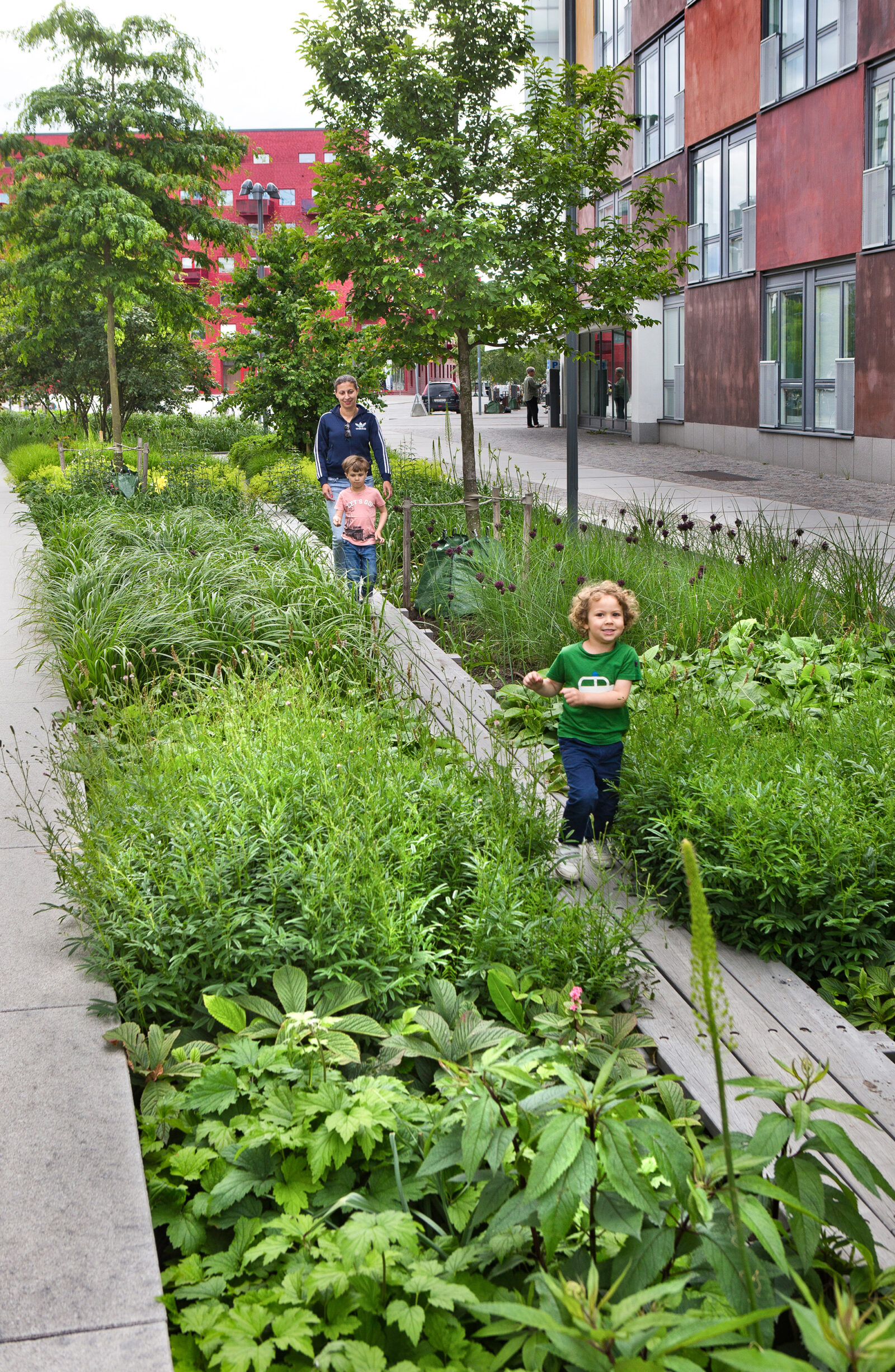 Jakt- och Lövängsgatan i Stockholm, vinnare av Landskapsarkitekturpriset 2019. Arkitekt: AJ landskap. Foto: Lennart Johansson