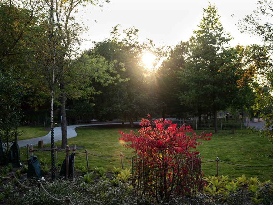 Åkeshovs arboretum, LAND arkitektur. Foto: Ulf Lundin