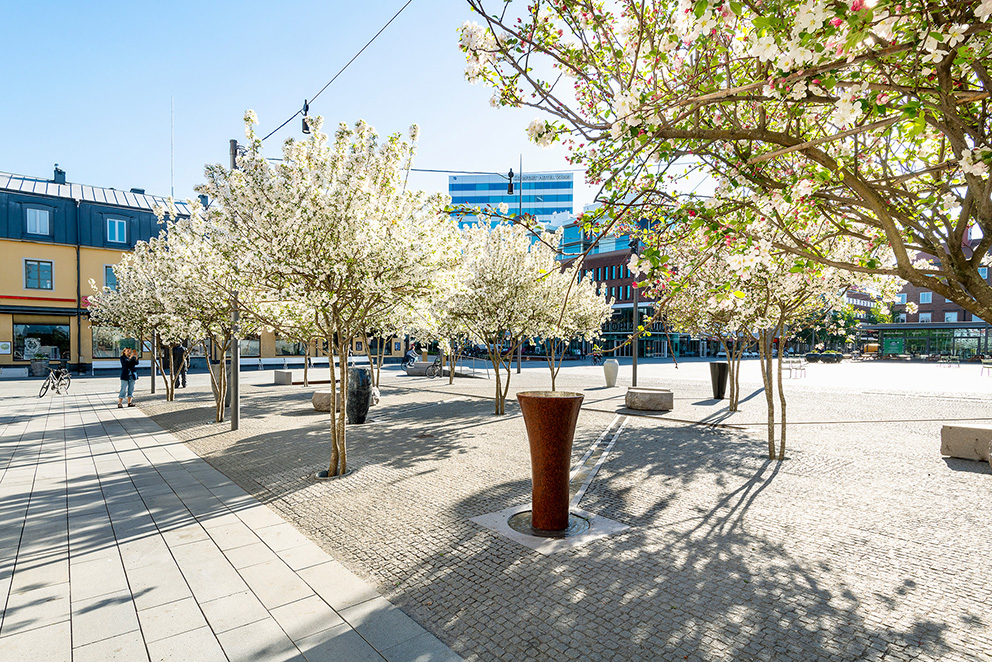 Rådhustorget, Sweco arkitekter. Foto: Mikael Lundgren