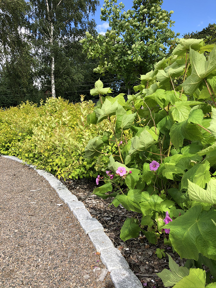 Stationsparken, Tengbomgruppen AB. Foto: Josefin Henriksson