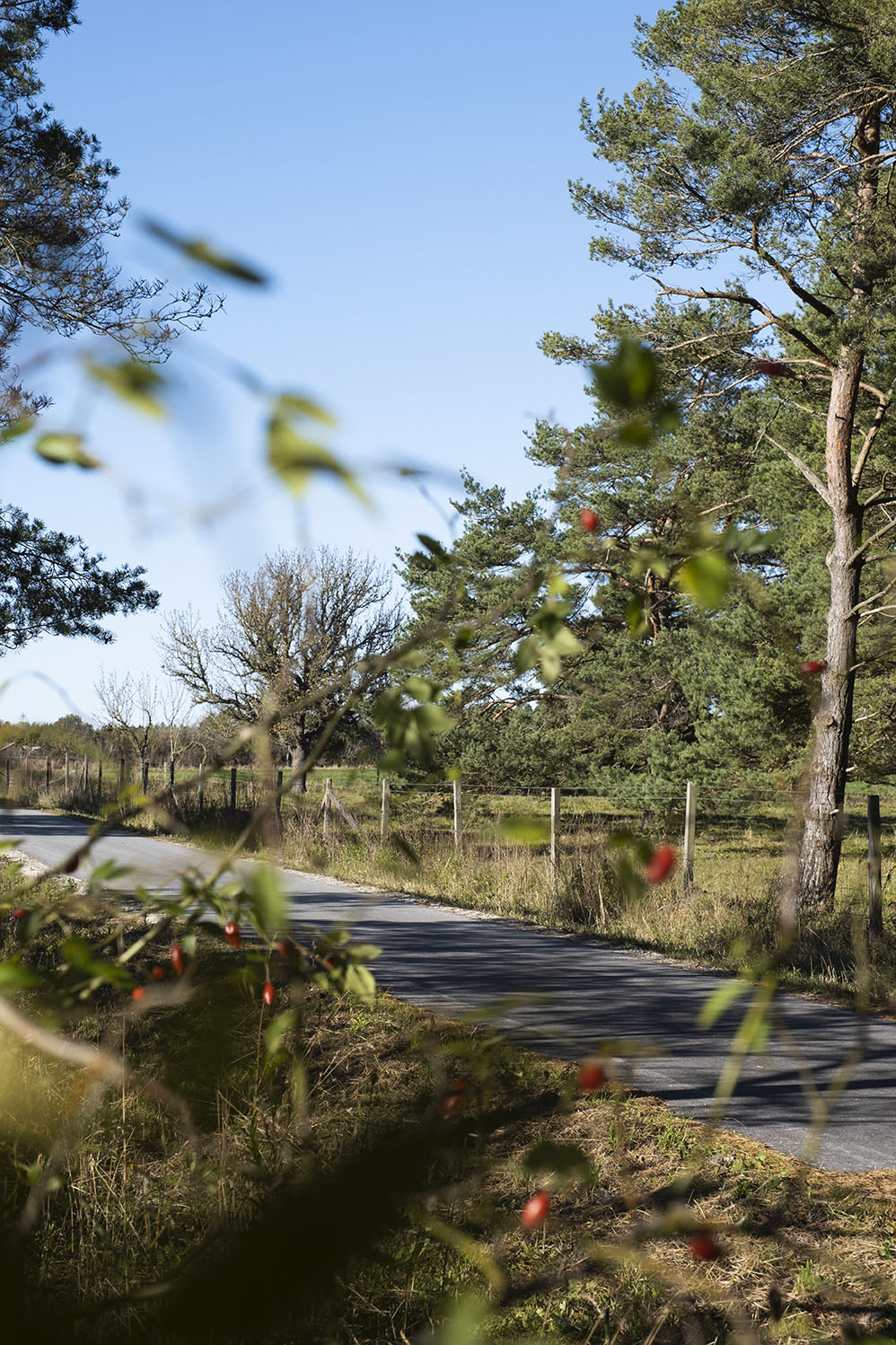 Väg 140. Foto: Johanna Sundström. Väg 140. Foto: Johanna Sundström.