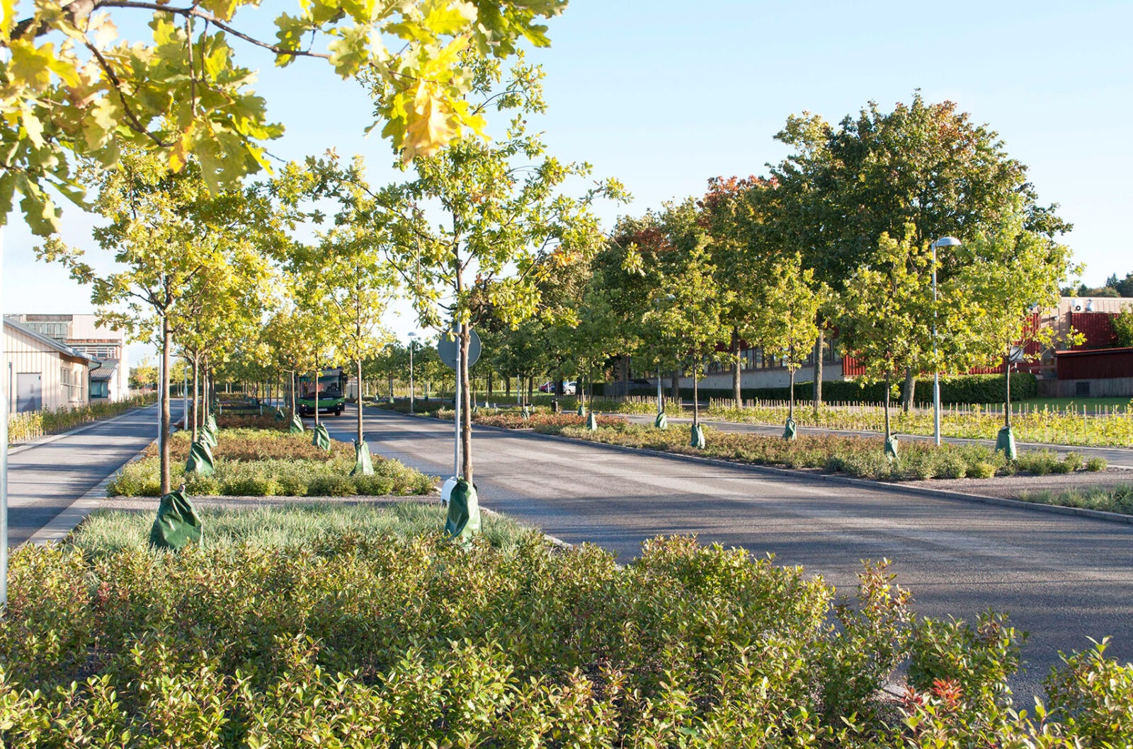 Campus SLU Ultuna. Foto: Jens Modin.