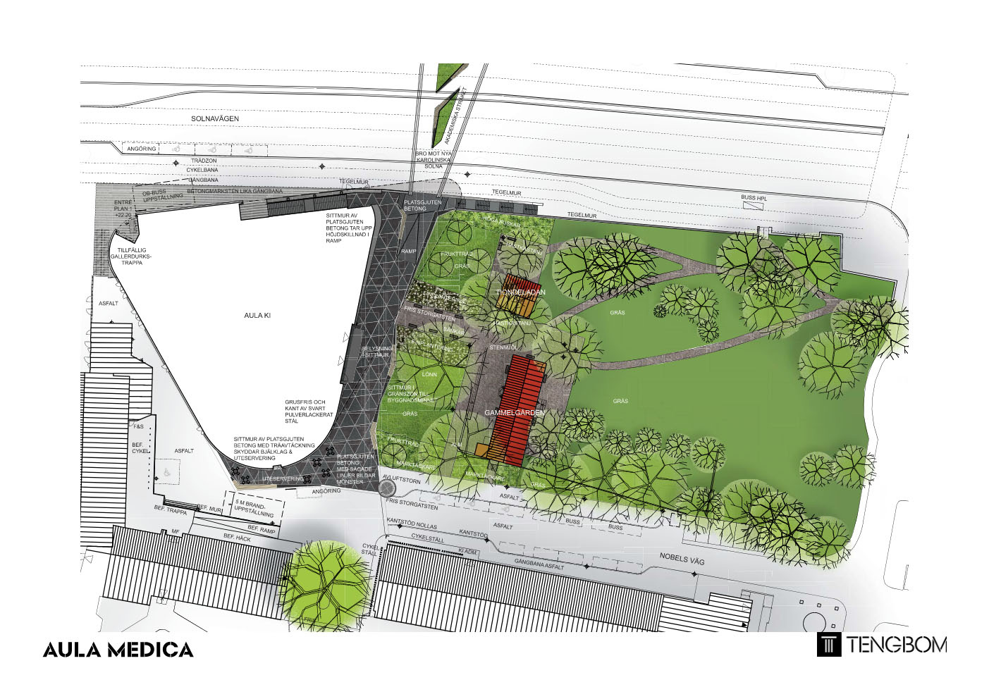 Aula Medica, Tengbom.