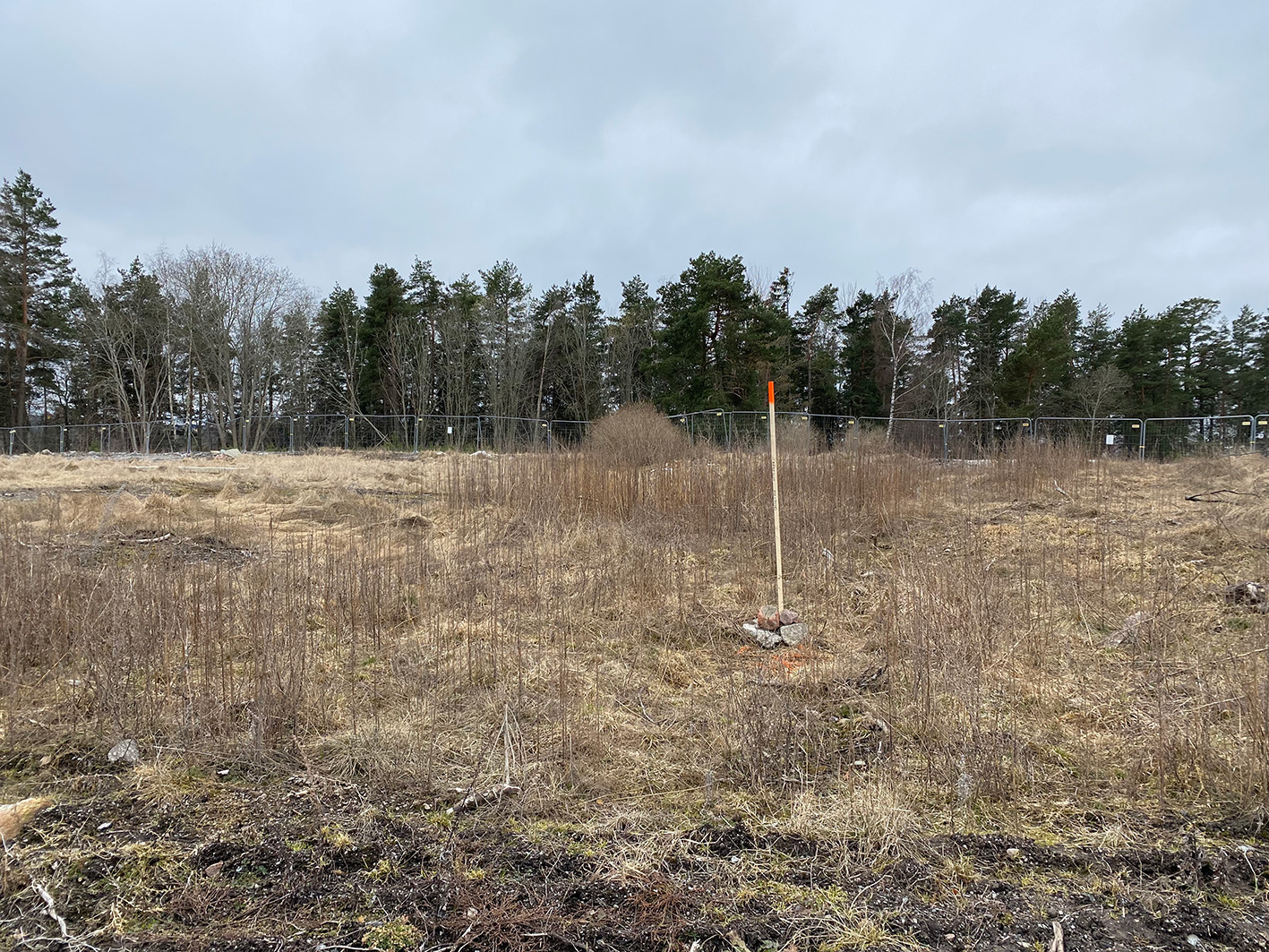 Skogsstjärna skolgård (angränsande naturmark) Landskapslaget.