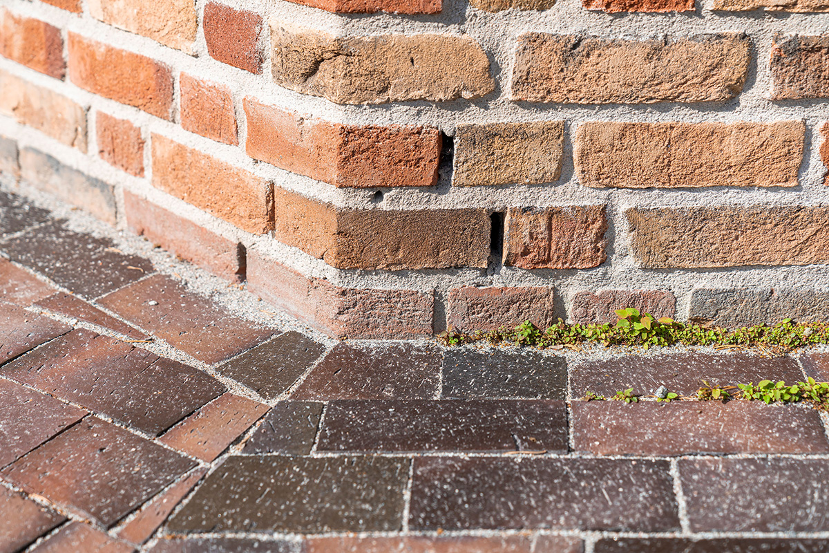 Hagaskolan, Cedervall arkitekter. Foto: Mattias Hamrén.