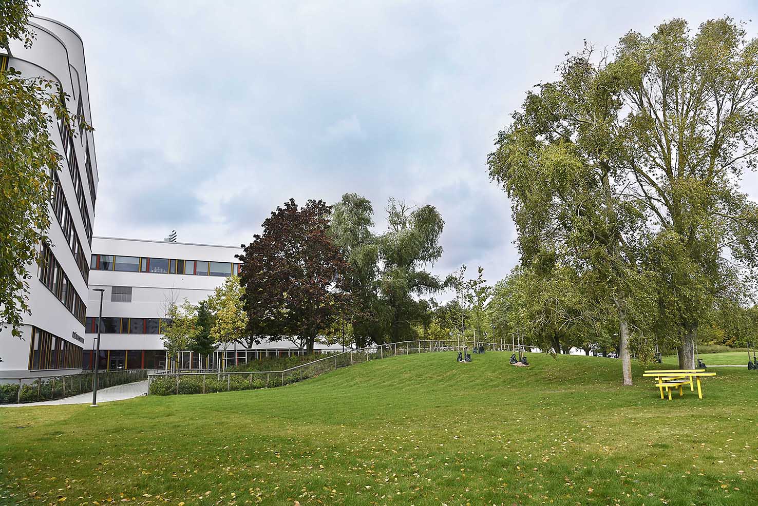 Malmö idrottsgrundskola, Sweco Architects. Foto: Ann-Sofie Johansson Malmö idrottsgrundskola, Sweco Architects. Foto: Ann-Sofie Johansson