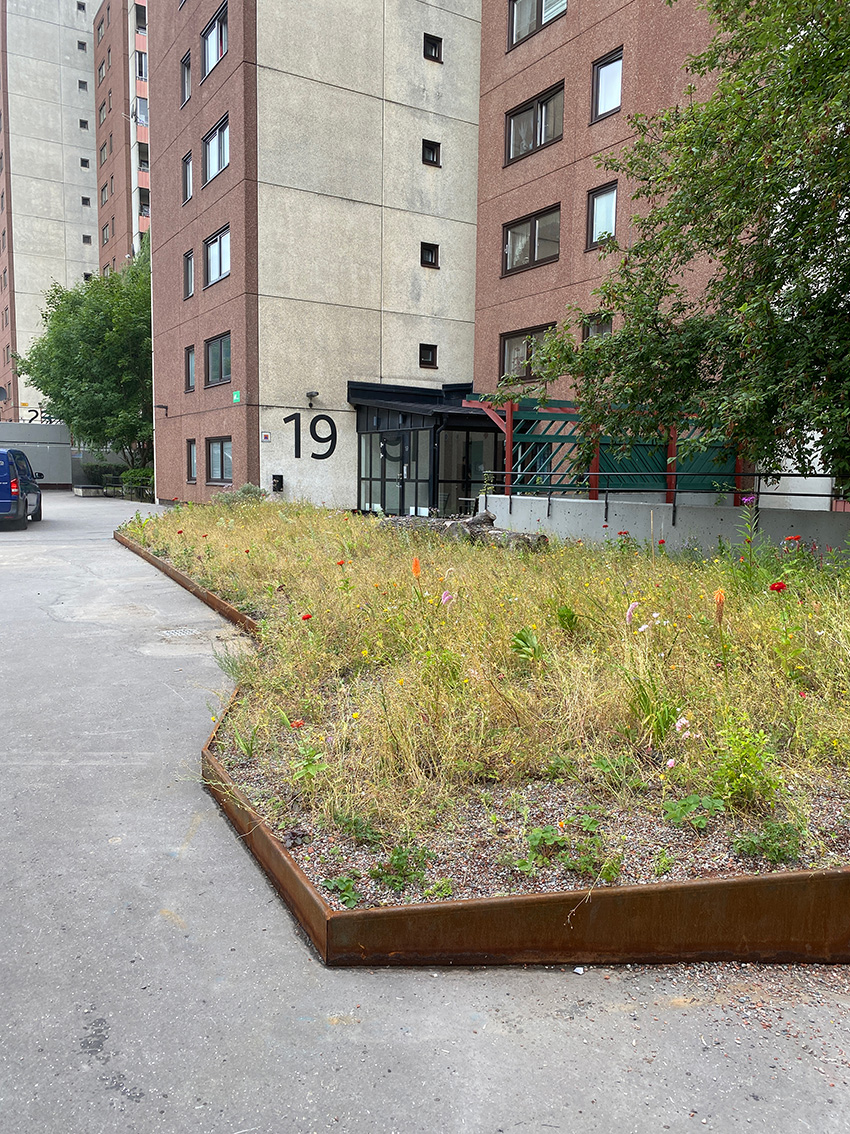 När asfalt brister och blommar, Landskapslaget. Foto: Ellen Sundin.