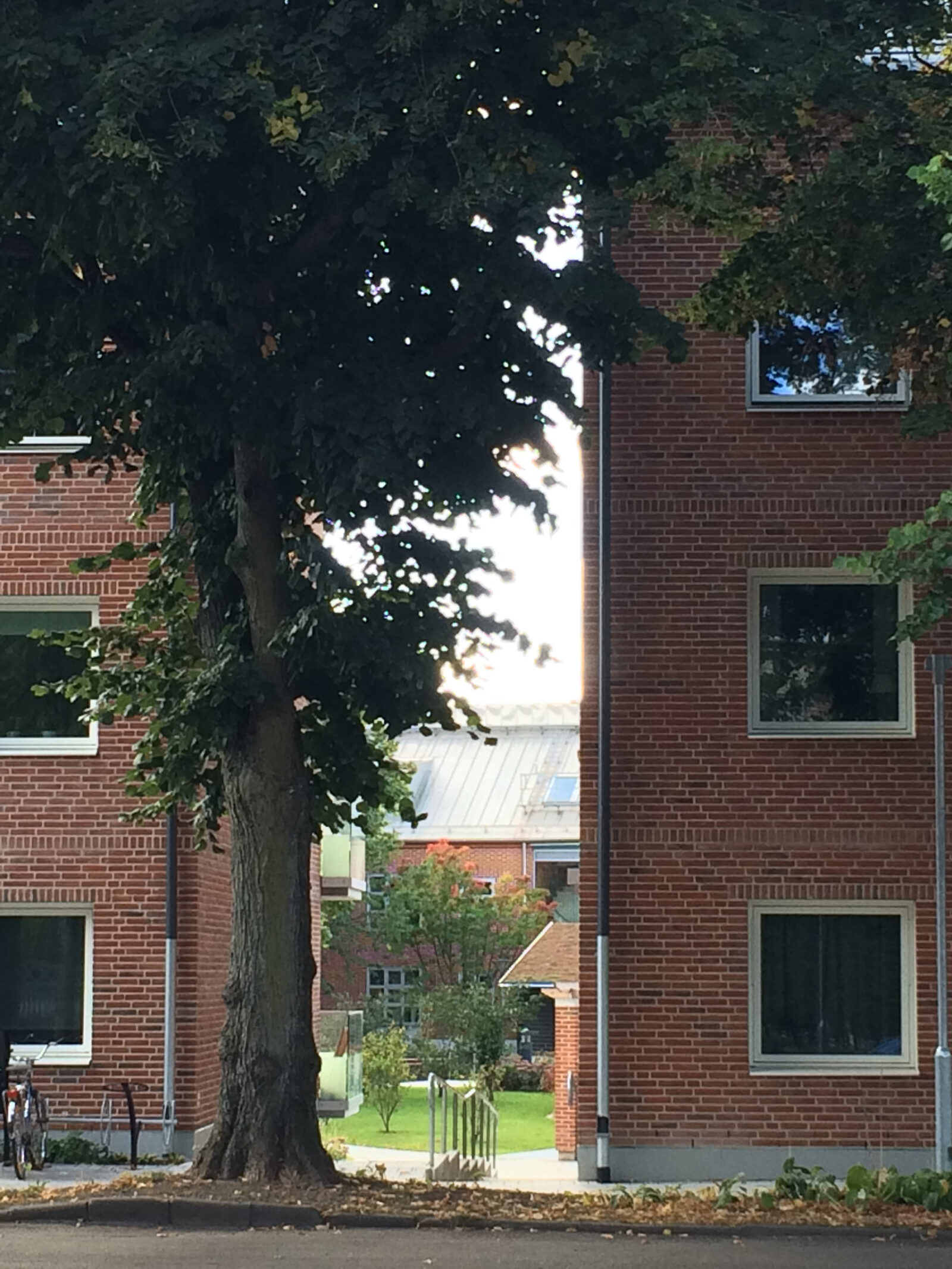 Brandstationen i Lund, Svenska Landskap AB. Foto: Ann-Sofi Högborg.