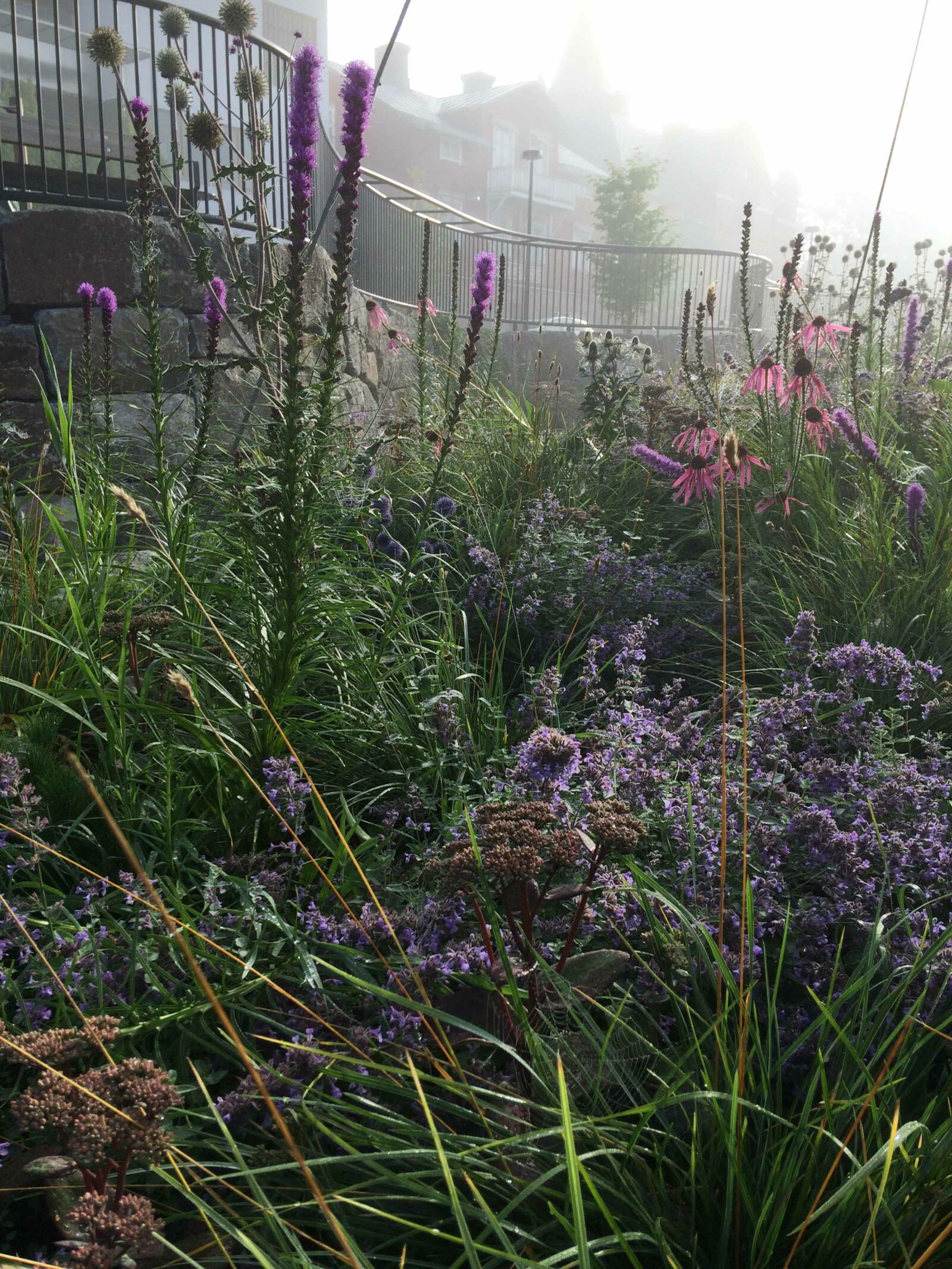Årstidernas park, Foto: Anna Flatholm.