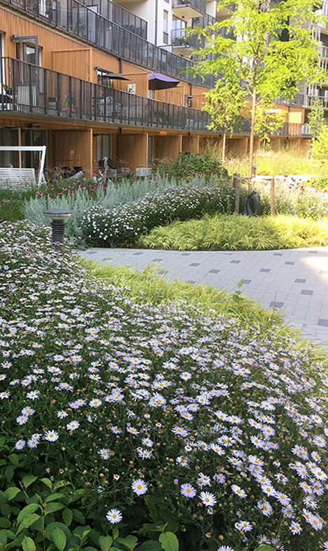 Fredriksdal, Topia Landskapsarkitekter. Foto: Topia.