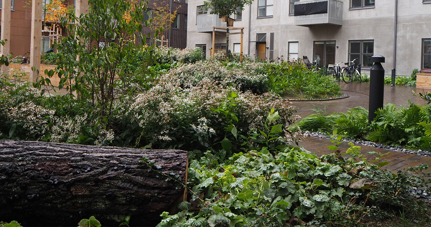 Koppången 4, Topia Landskapsarkitekter. Foto: Tegelmäster. Koppången 4, Topia Landskapsarkitekter. Foto: Tegelmäster.