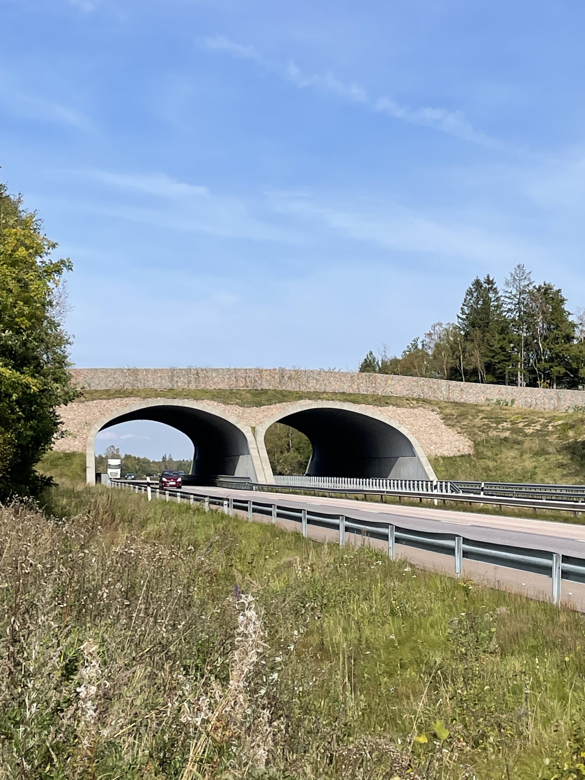 Ekodukt E6 Hallandsåsen. Arkitekt: Tyrens. Foto: Anna Olsson.