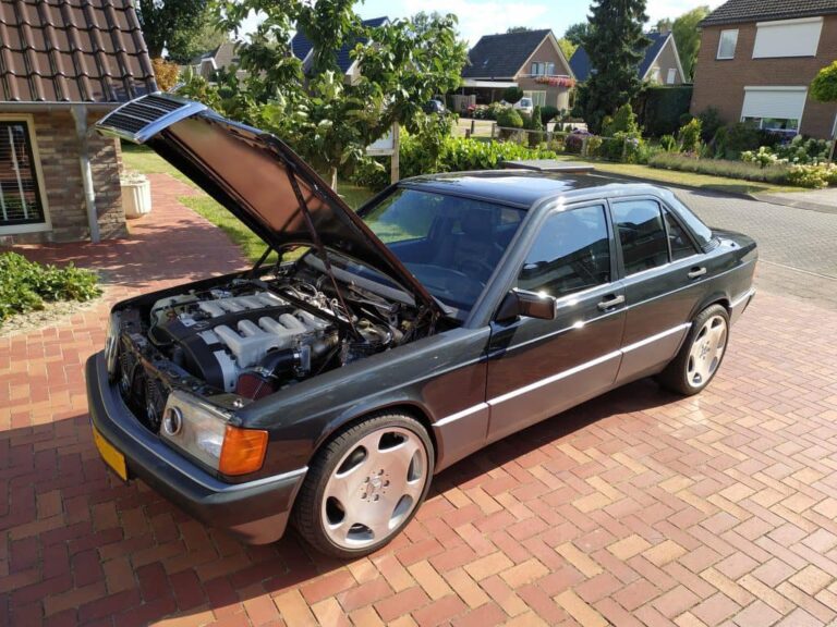 Mercedes W201 V12