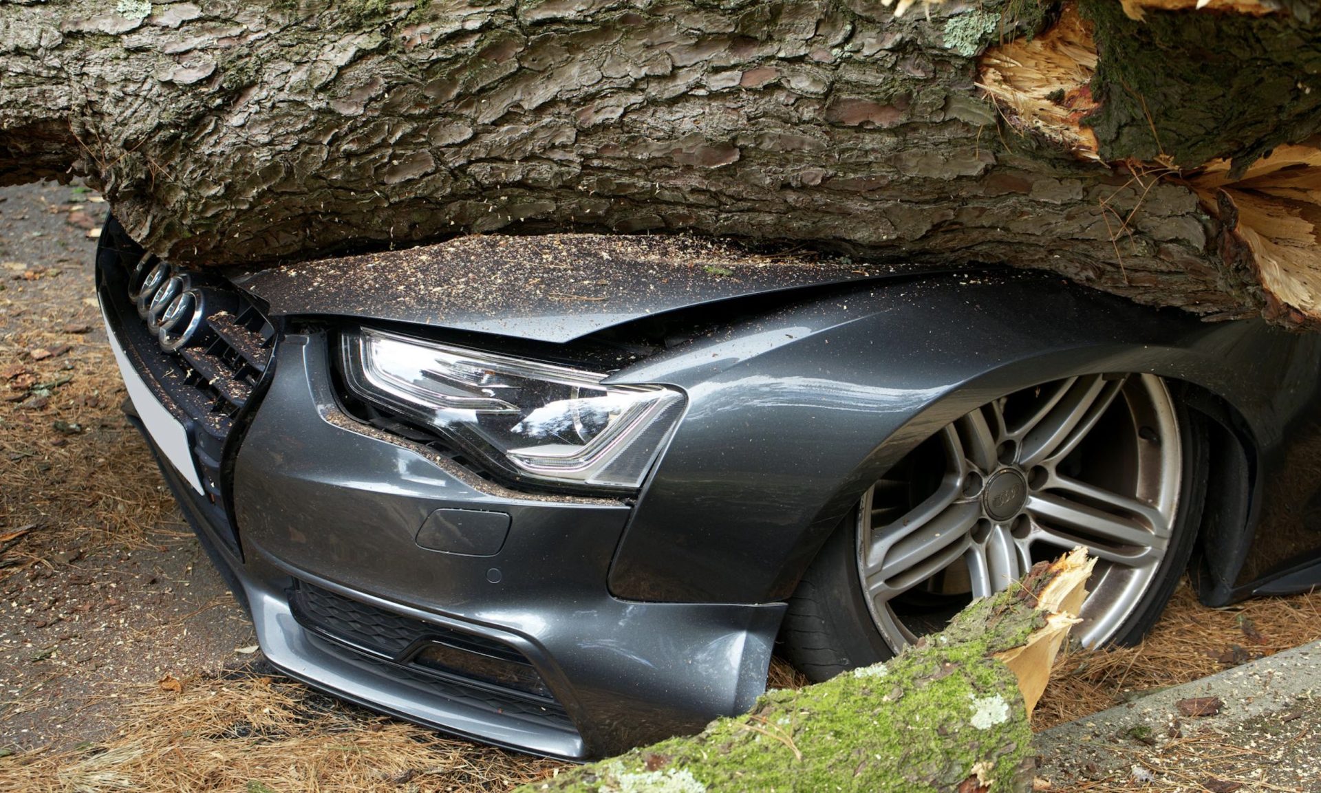 Sådan får du billig bilforsikring: Spar tusindvis af kroner