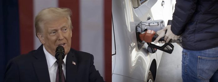 Trump forbyder forbud mod benzin- og dieselbiler igen