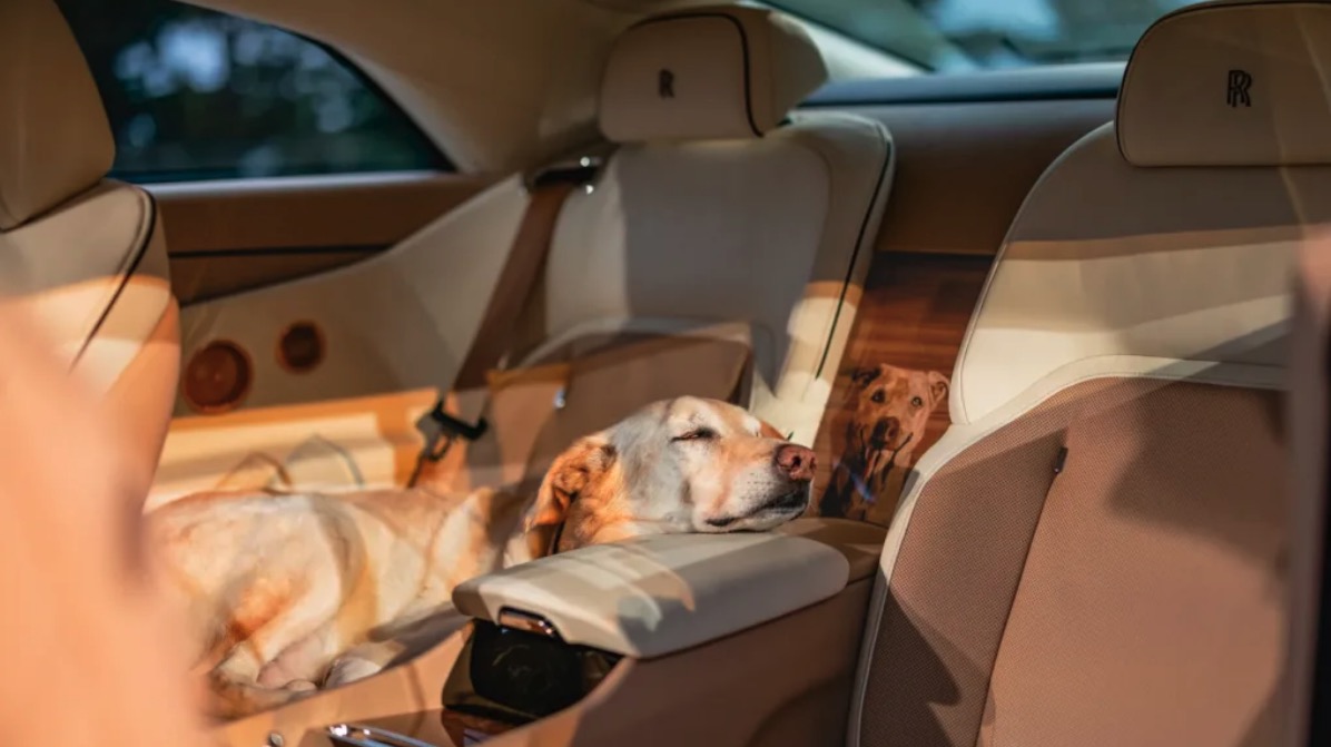 Rolls-Royce bygger bil til 6 mio. kr. til ære for hunden Bailey