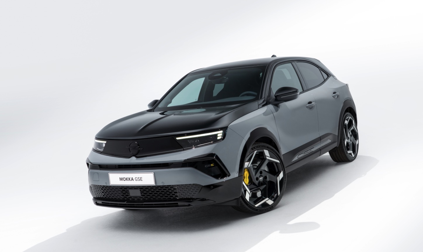 Bilgigant lukkede fabrikker der bygger elbiler