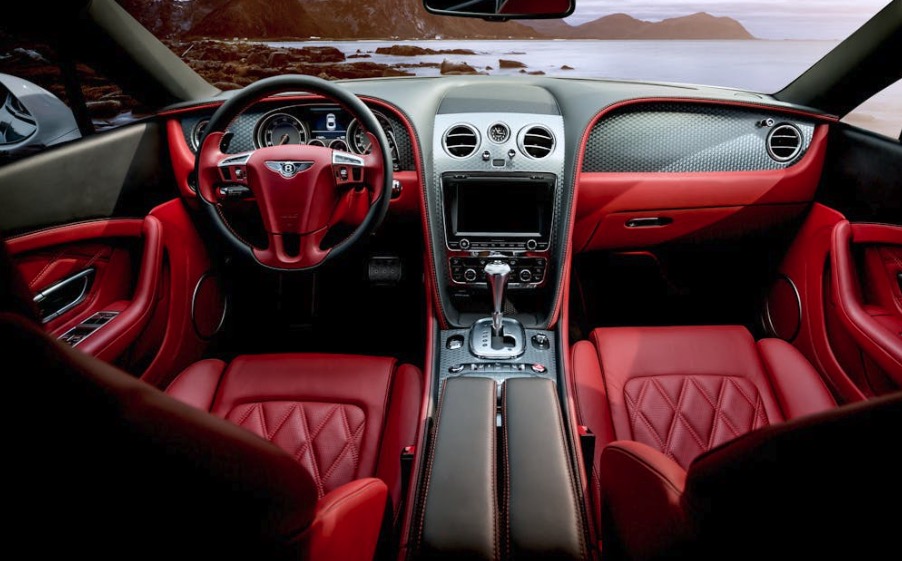 Skadedyr i bil og motorrum – hvordan du opdager og bekæmper dem