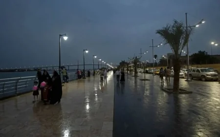 آخر تحديثات الطقس.. ضباب مستمر ولا أمطار غزيرة