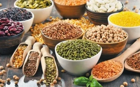 صادرات الحبوب من جنوب شرق الأناضول: العراق في الصدارة بـ871.9 مليون دولار