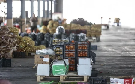 الزراعة تمنع استيراد 11 محصولاً وتحدد مساحة الخطة الزراعية الشتوية