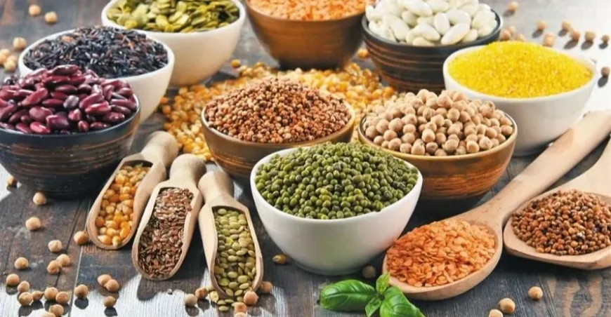 صادرات الحبوب من جنوب شرق الأناضول: العراق في الصدارة بـ871.9 مليون دولار