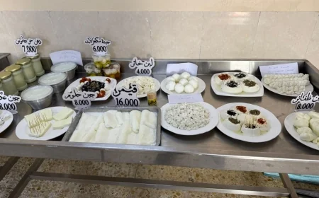 من شمالي البصرة.. الفاو تحوّل مشروعًا بدائيًا إلى مركز حديث لصناعة الألبان