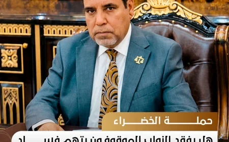 الصرايفي: عدم وجود نص في الدستور أو قانون انتخابات مجلس النواب ينظم مقاعد النواب الموقوفين