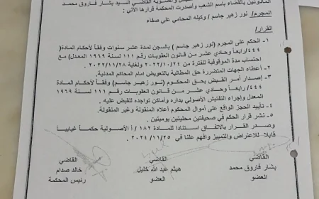 بالوثائق.. القضاء يخاطب مديرية الشرطة الدولية (الإنتربول) لاستراد المتهم نور زهير