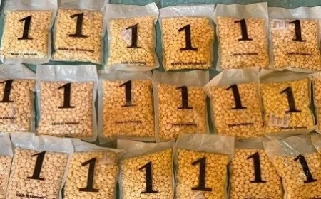 الاستخبارات العسكرية تضبط 28 ألف حبة كبتاجون وتطيح بتاجر مخدرات بارز في الأنبار