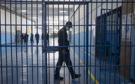 العدل: 4 إجراءات لمعالجة الاكتظاظ بالسجون والأقسام تضم تصنيفات بحسب نوع الجريمة