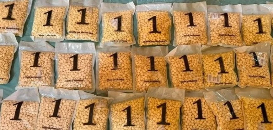 الاستخبارات العسكرية تضبط 28 ألف حبة كبتاجون وتطيح بتاجر مخدرات بارز في الأنبار
