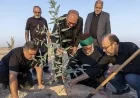 العتبة العباسية تطلق مشروعاً لزراعة مليون شجرة وإنشاء حزام أخضر بطول 90 كيلومتراً في كربلاء