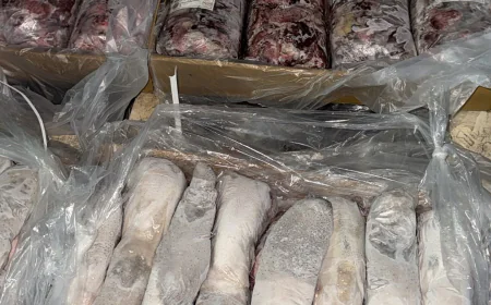 إحباط محاولة تهريب لحوم ممنوعة من الاستيراد في منفذ ميناء أم قصر الشمالي