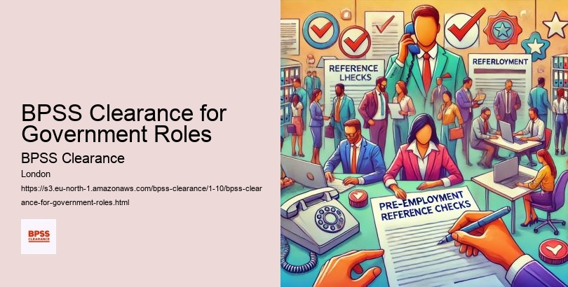 BPSS Clearance for Government Roles